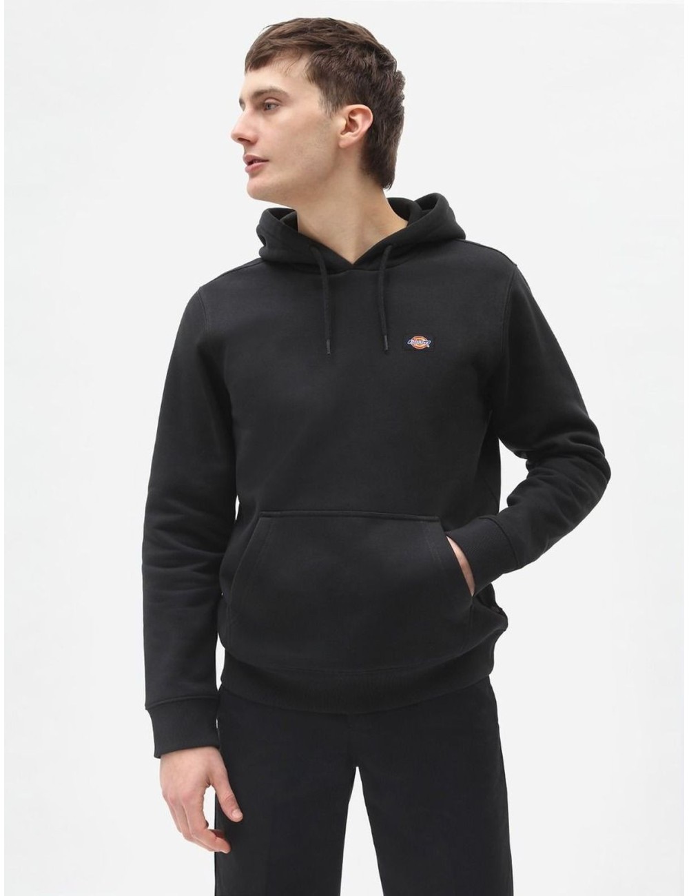 OAKPORT HOODIE DK0A4XCD Dickies