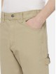 Shorts Duck Canvas DK0A4XNG Dickies