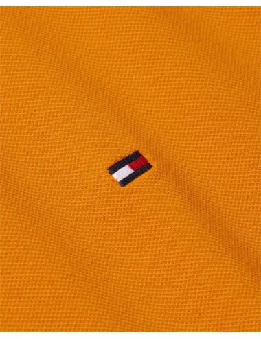 Polo in cotone regular fit Tommy Hilfiger MW0MW17770 | My Brand Italia