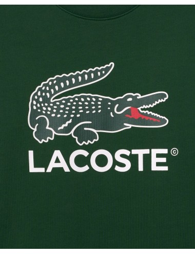 Felpa Uomo con maxi logo coccodrillo SH1281 Lacoste